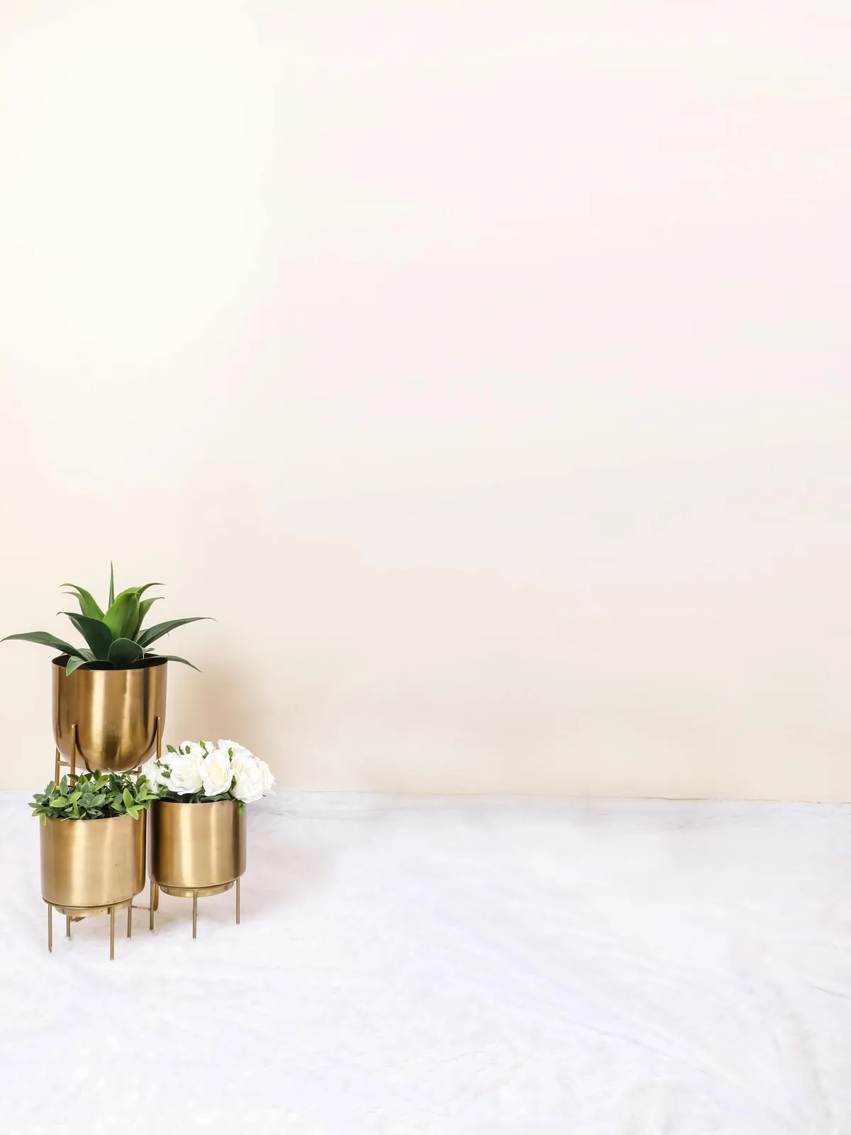 Small green plant in a soft gold planter on a pale surface