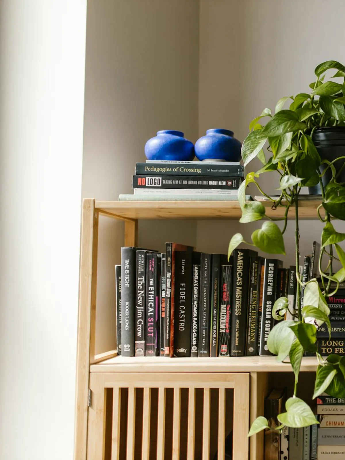 Wood shelf with books, blue ceramic jars, and trailing green plant