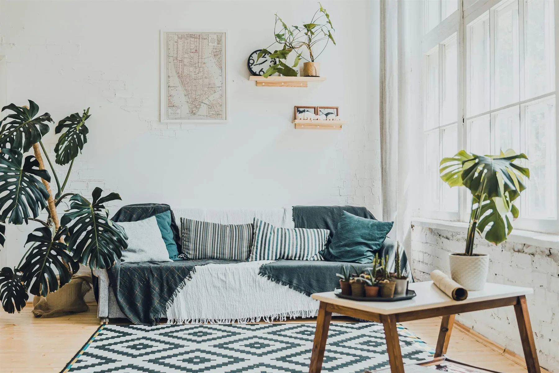 Bright living room with plants, light walls, blue-green textiles, and natural daylight