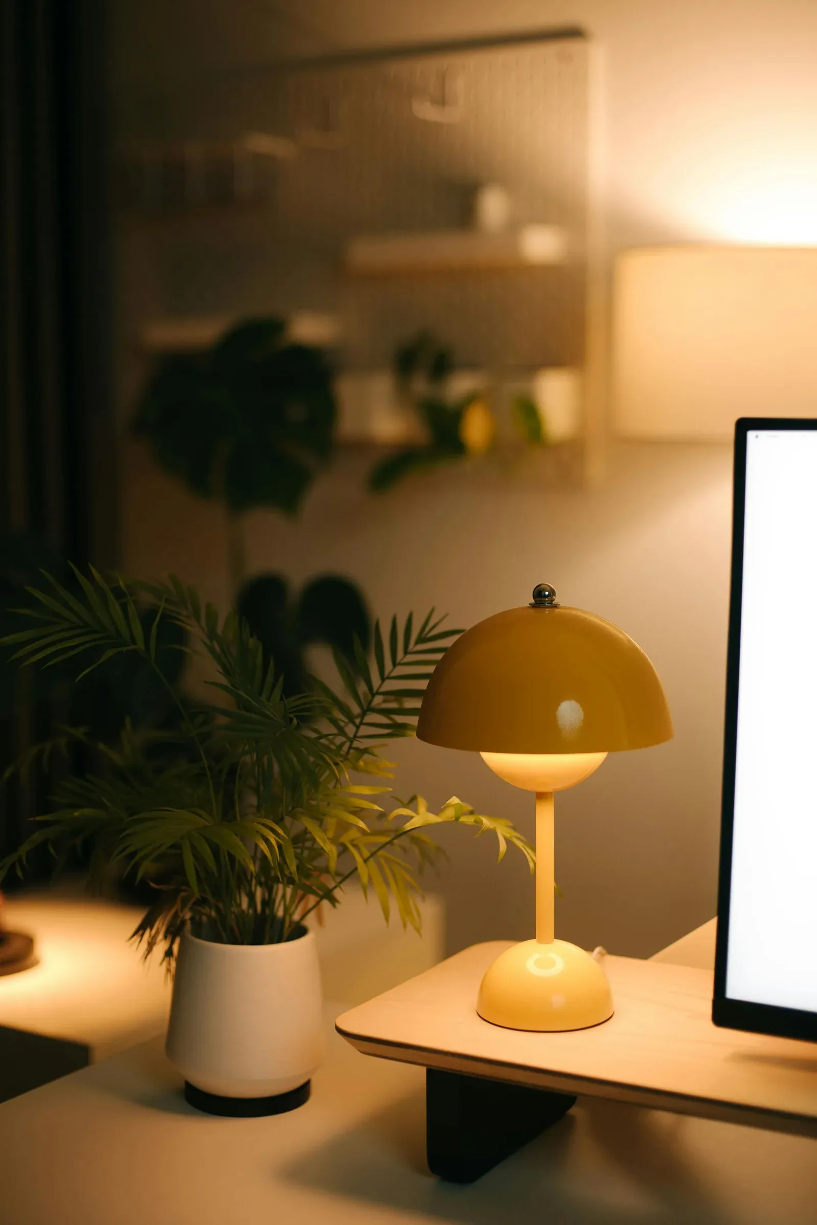 Warm desk lamp glowing near green plants and a quiet work surface