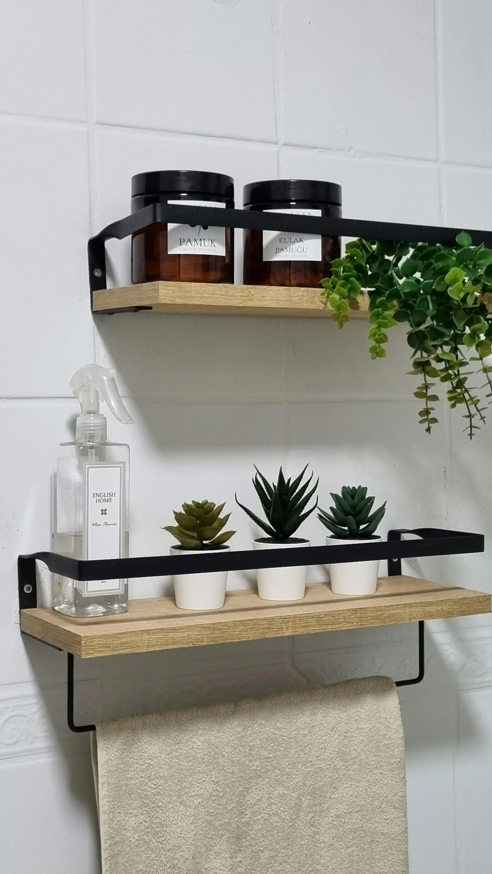 Bathroom shelf with a small edited group of healthy plants and clean styling