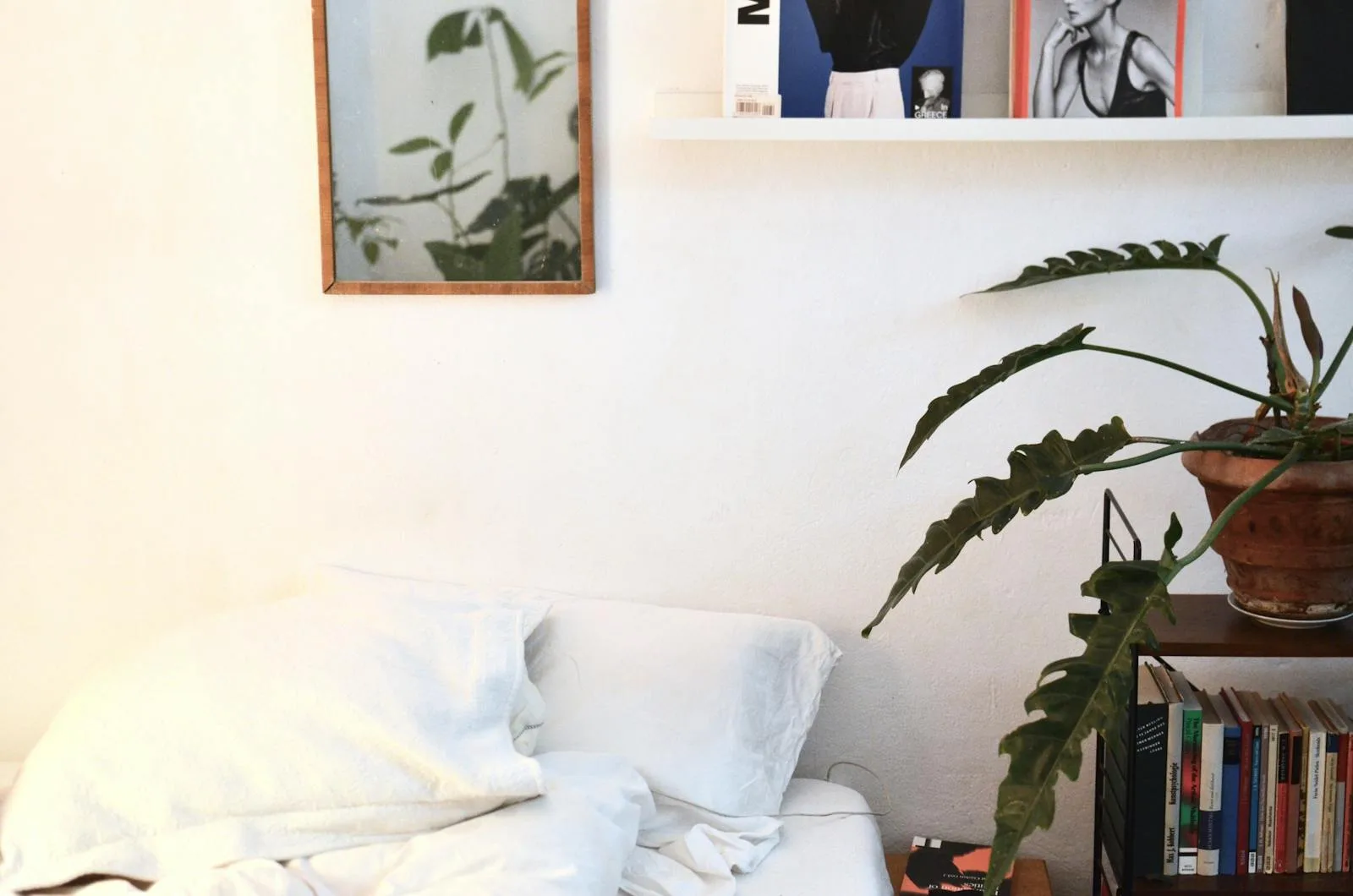 Soft bedroom corner with one plant beside a bed and books on a shelf