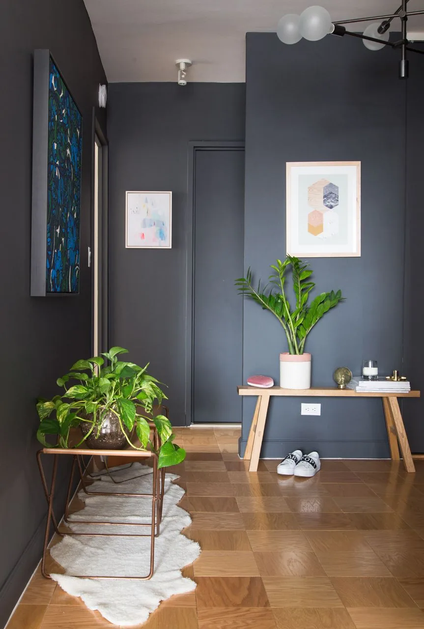 Dark painted entry with a bench, two plants, clean floor path, and minimal styling