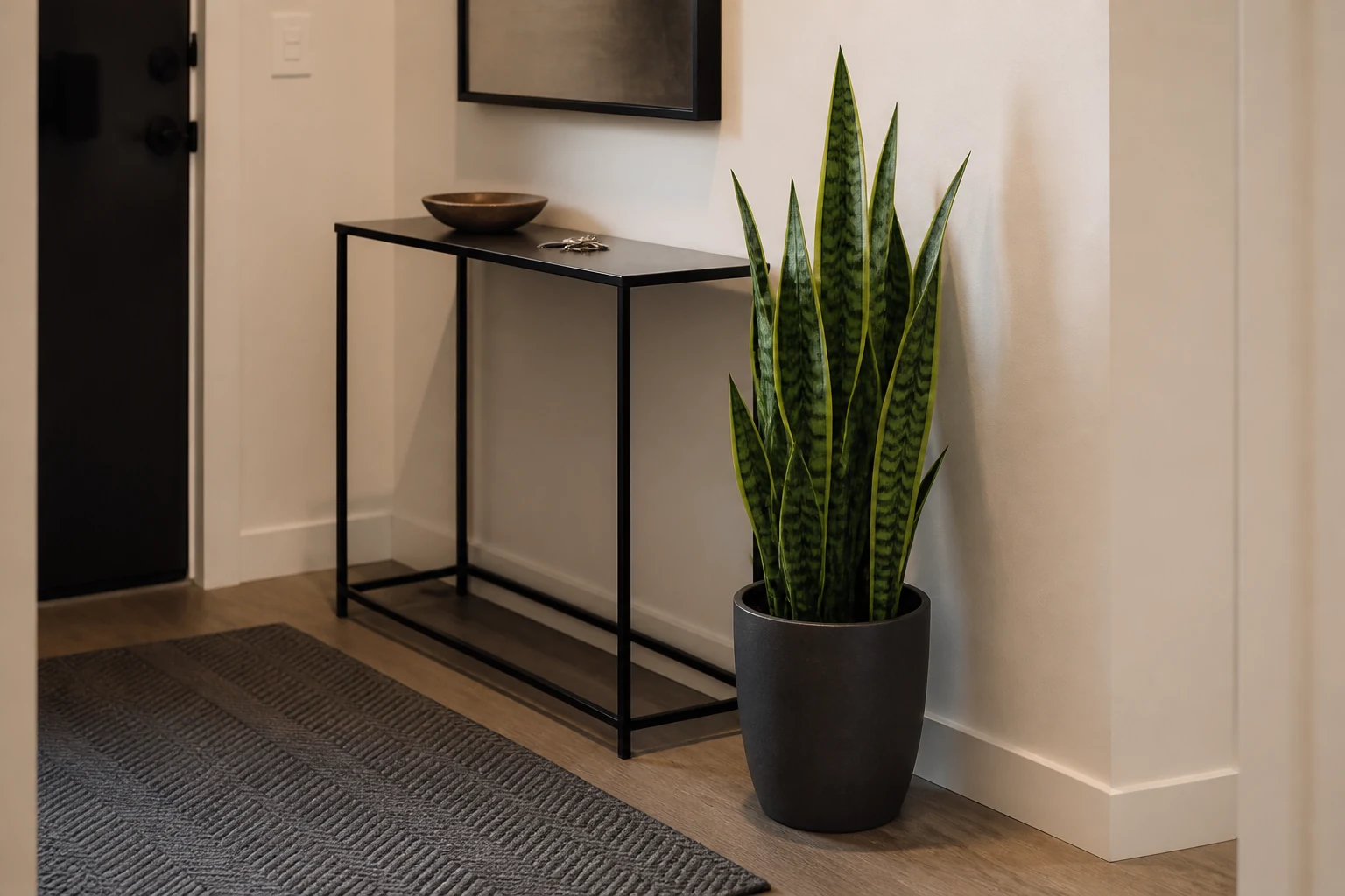 Artificial snake plant in a matte black pot beside a narrow white entry console