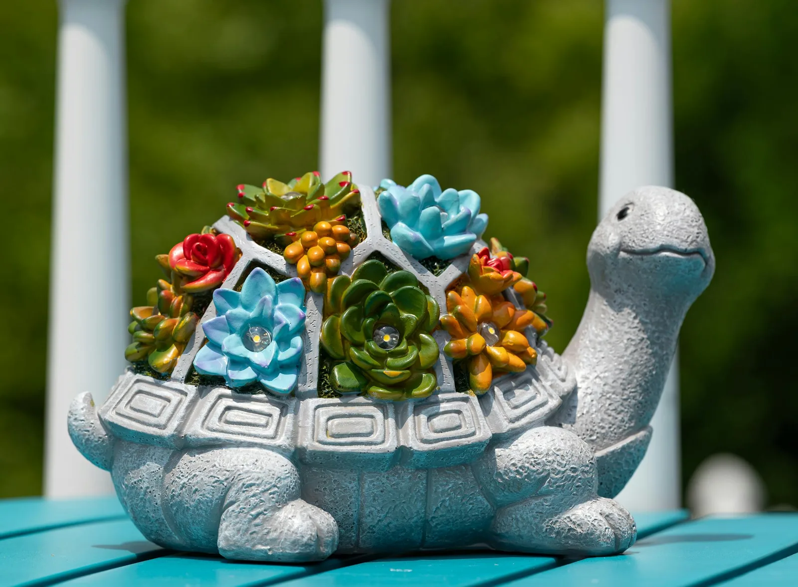 Decorative turtle planter with small colorful succulents