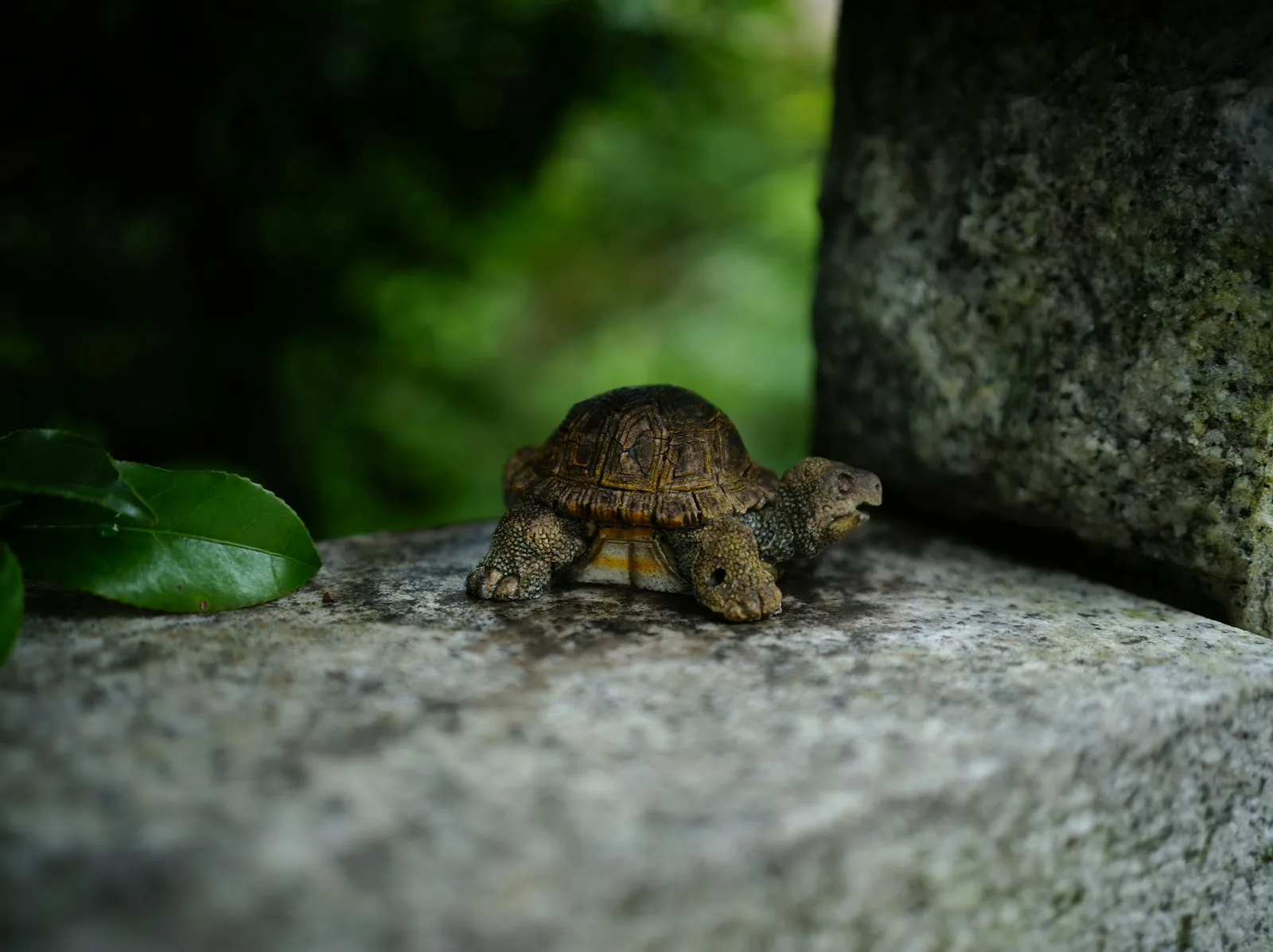 Small turtle figurine resting on a stone ledge with greenery behind it