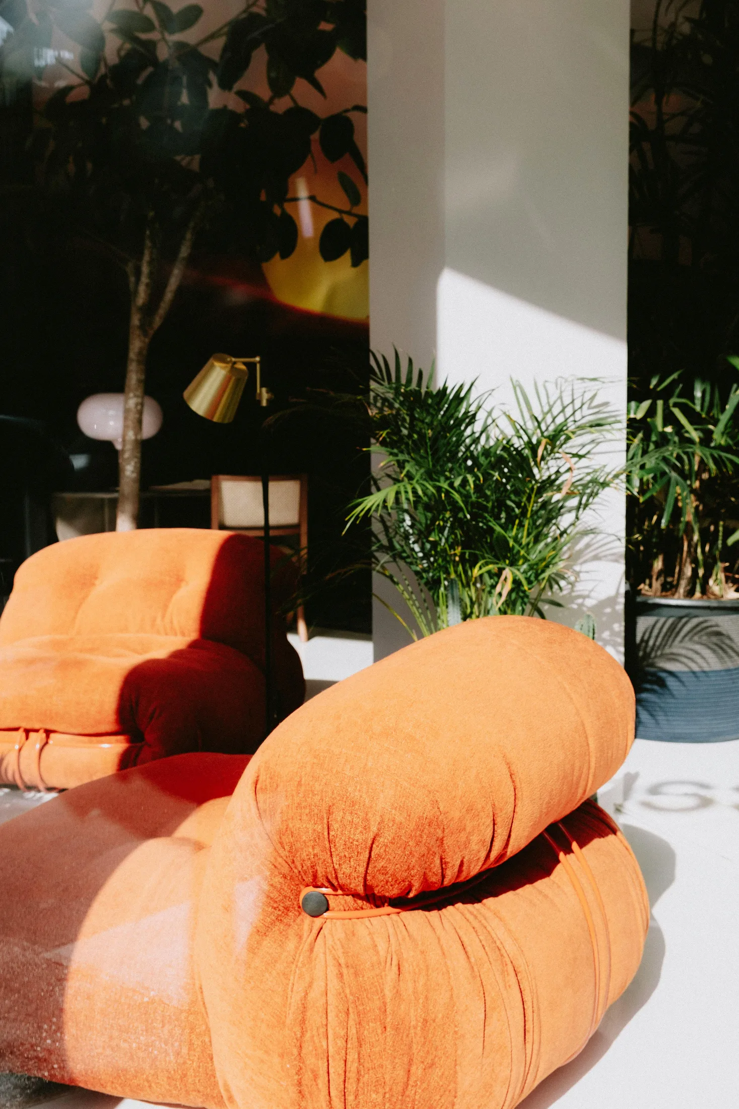 Orange sofa with green plants and warm sunlight