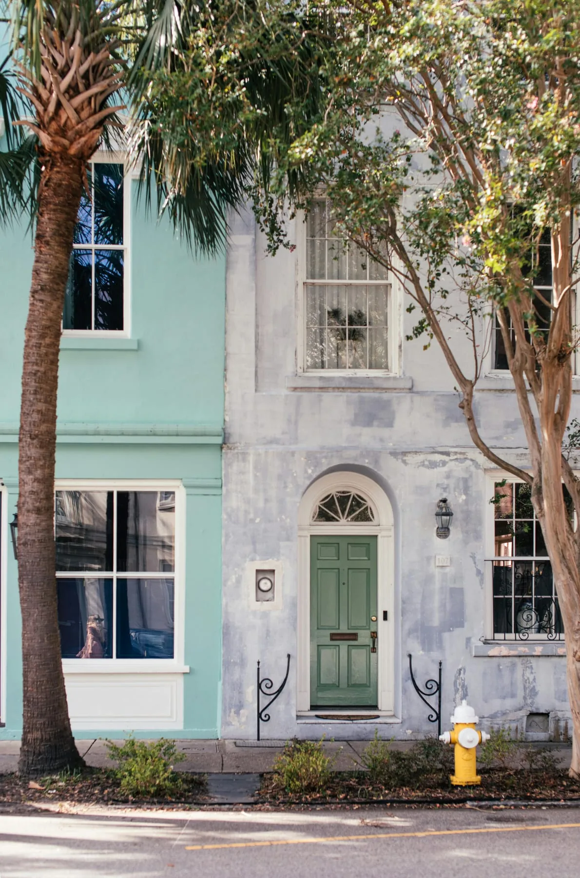 Soft green front door on a pale weathered facade with palms and a quiet planted street view