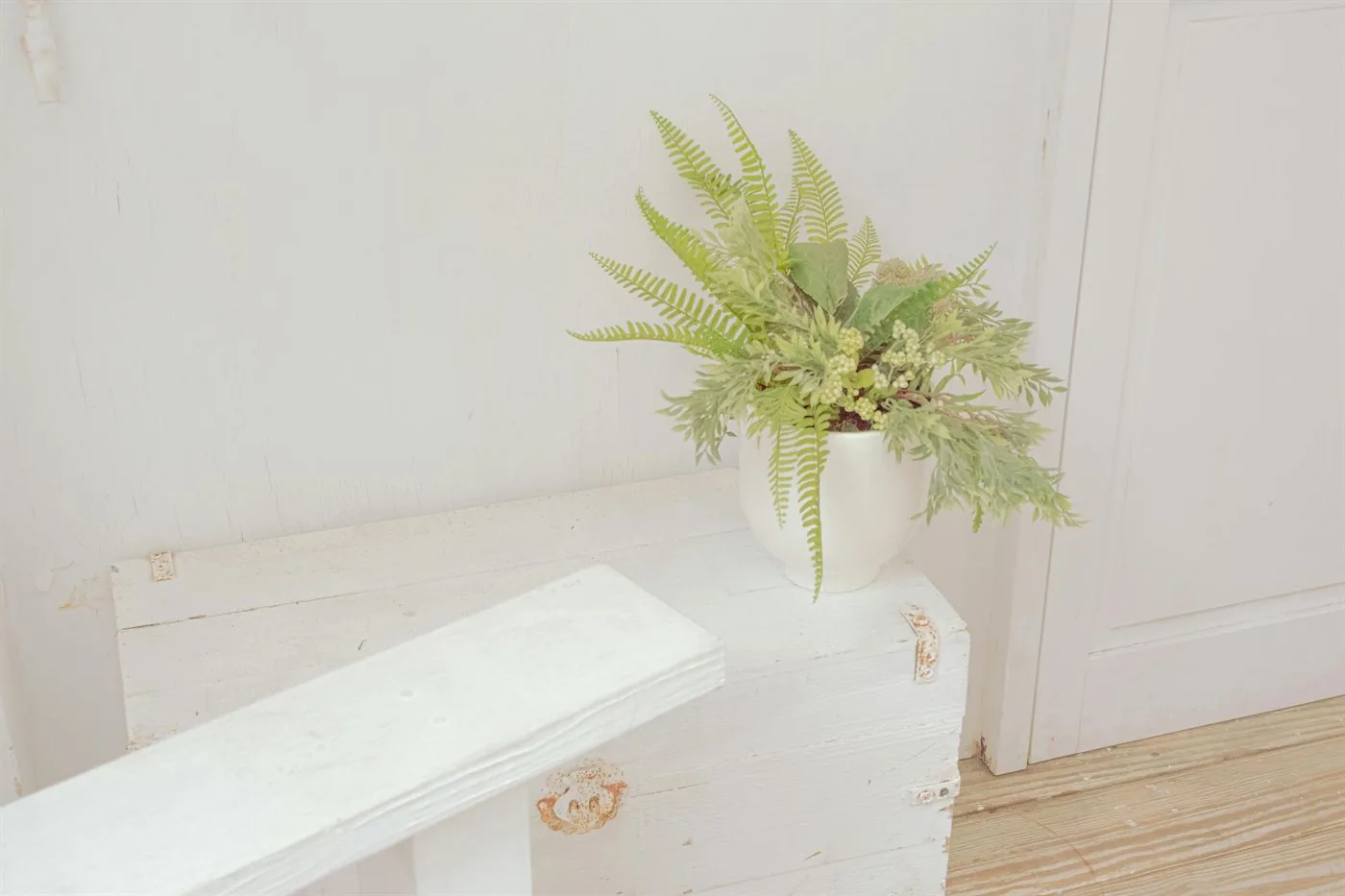 Soft fern foliage in a white pot on a pale porch-like surface