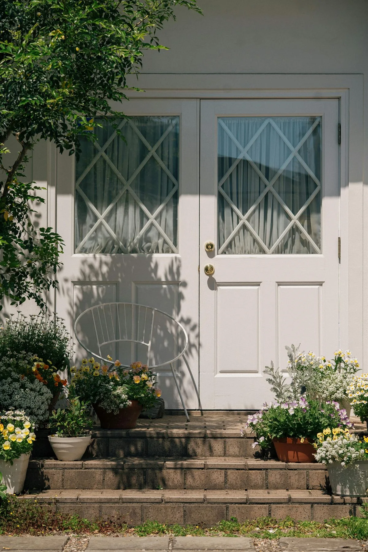 White front door with potted flowers arranged along the steps