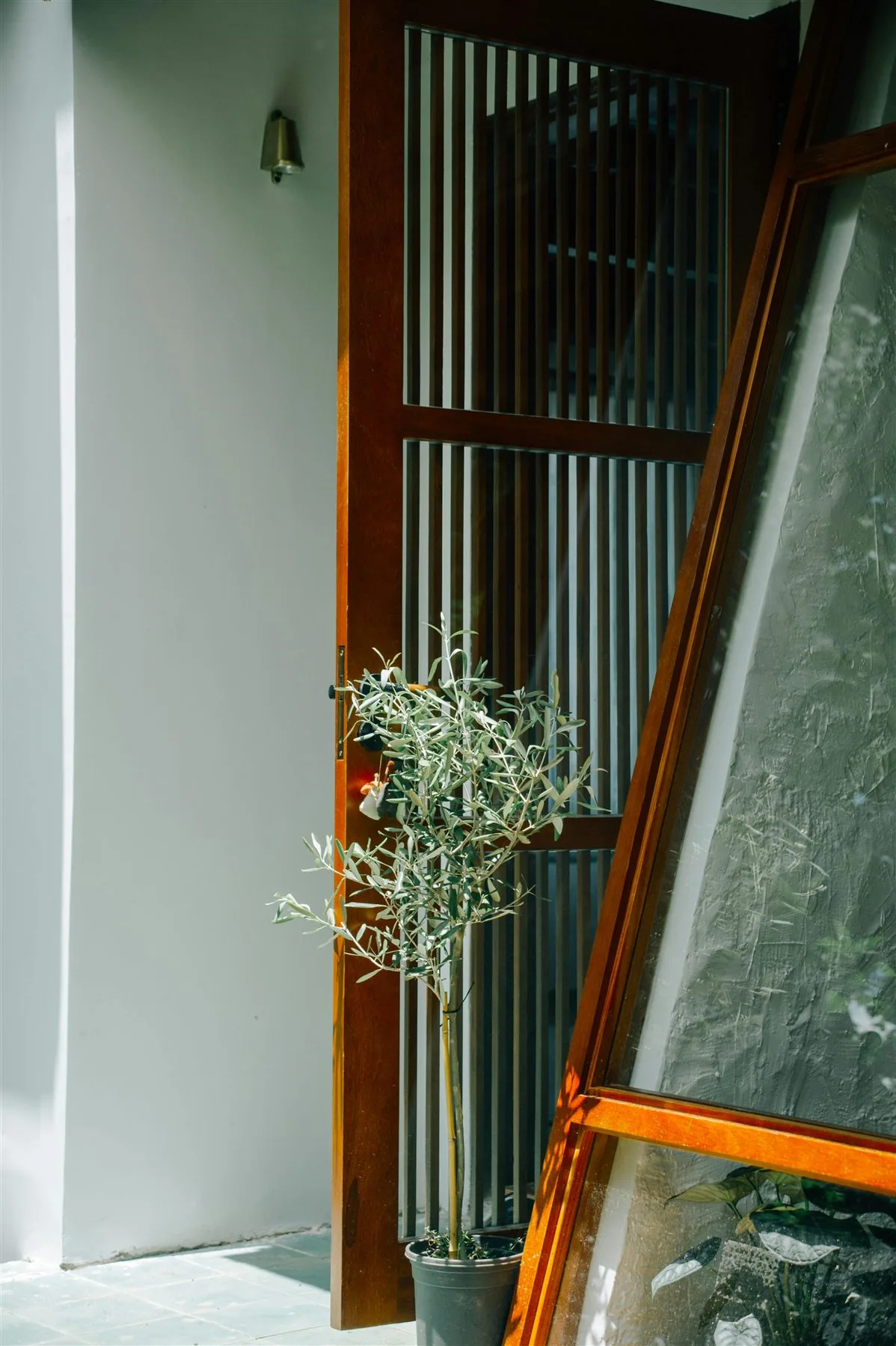 Open wooden front door with a potted plant at the threshold and clean modern entry walls
