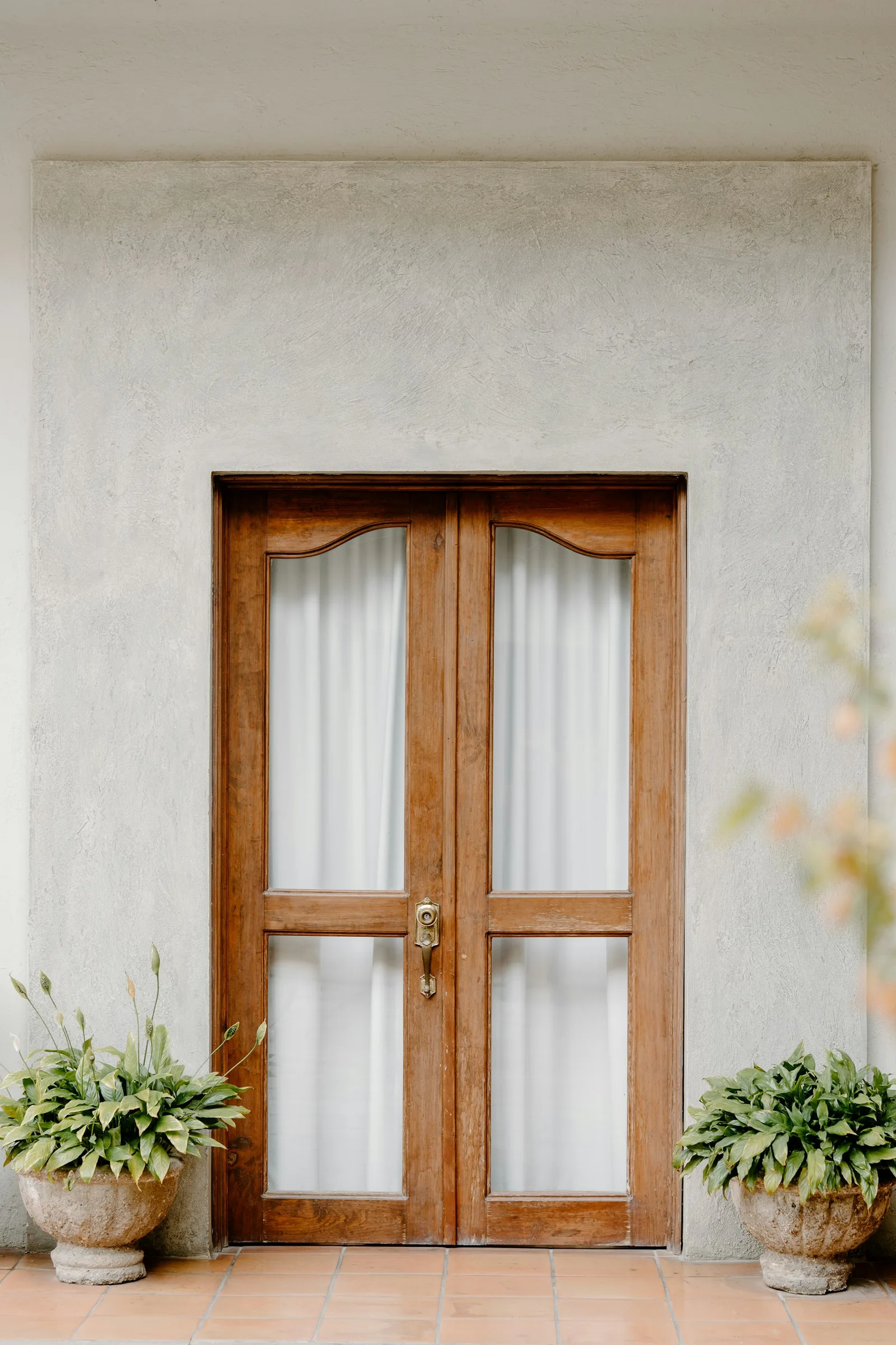 Wooden front door with two rounded potted plants placed evenly on both sides