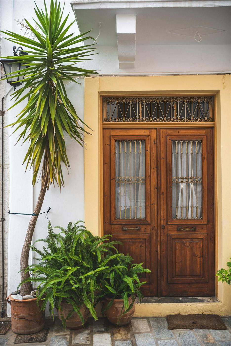 Wood double door with surrounding plants and a warm cream exterior wall