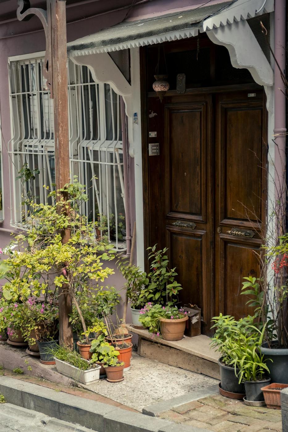 Dark wood door with many potted plants and a muted mauve exterior