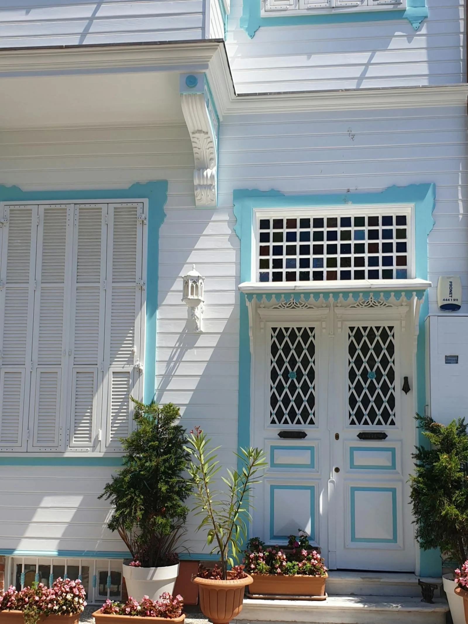 Bright front door with several potted plants, flowers, and small trees close to the entrance