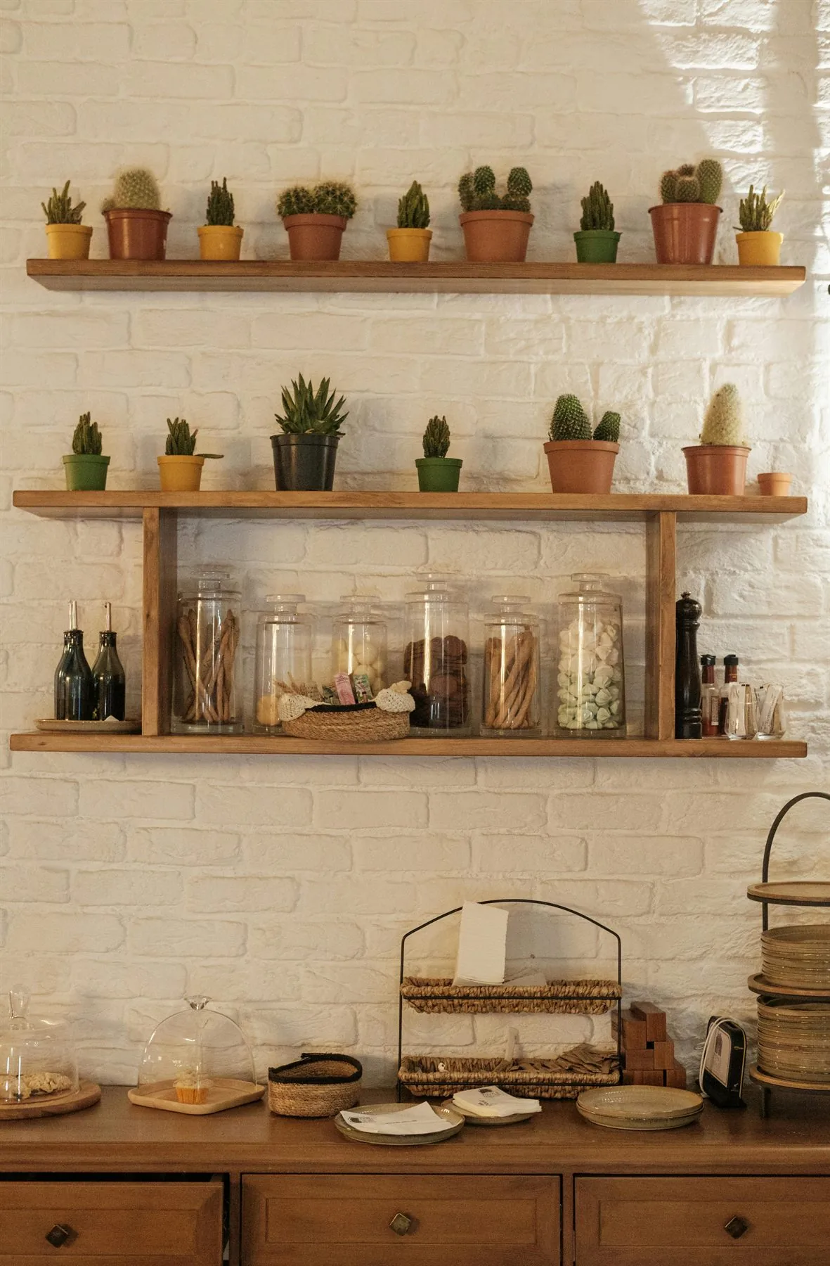 Indoor plants arranged across open wall shelves in a calm neutral room