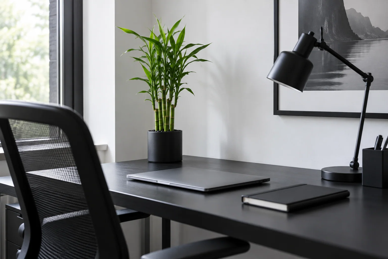 Lucky bamboo in a black pot at the back corner of an uncluttered home-office desk