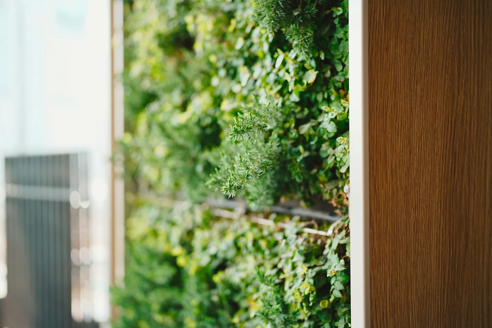 Green living wall beside a warm wood panel