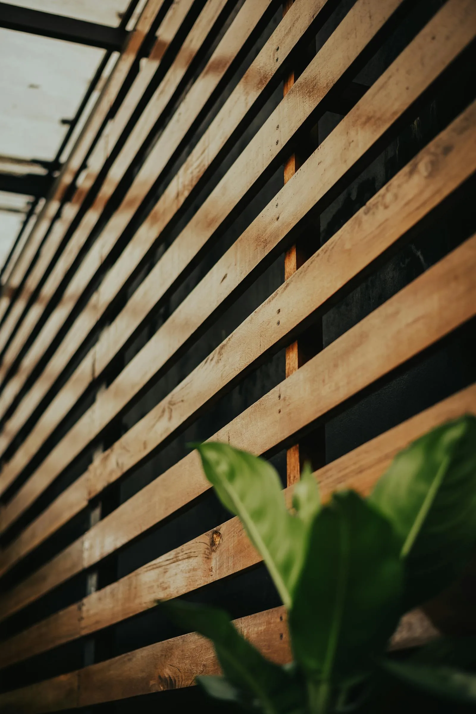 Warm wood slat wall with a small green leaf detail in the foreground