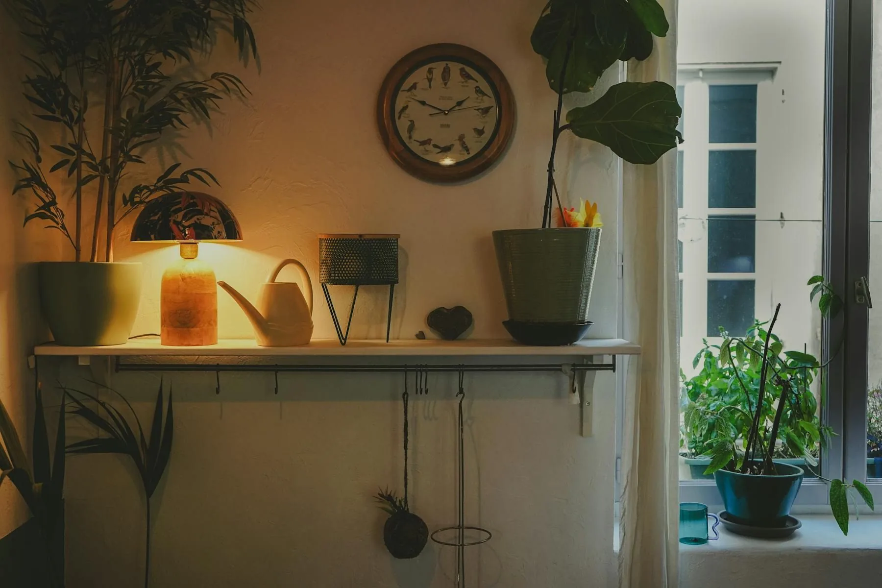 Warm lamp glowing on a shelf with several healthy plants nearby