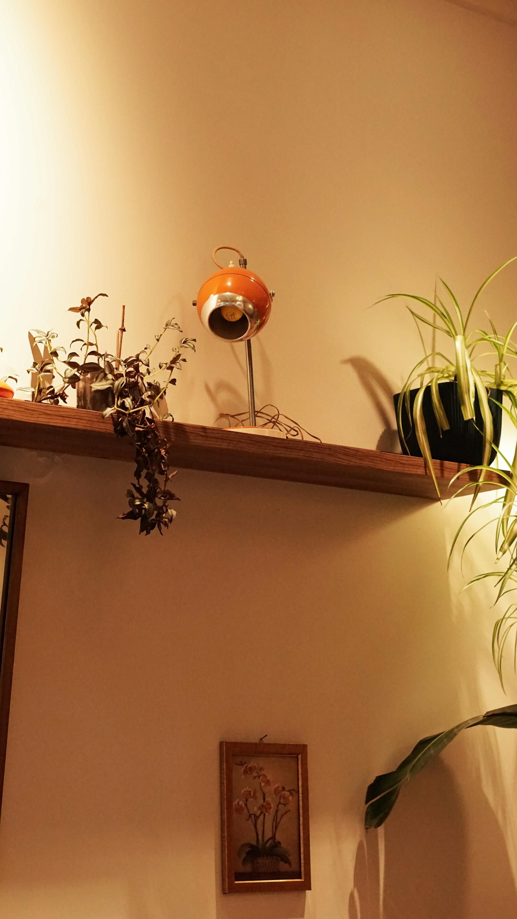 Warm shelf with plants, framed art, and one orange lamp creating a more cared-for corner