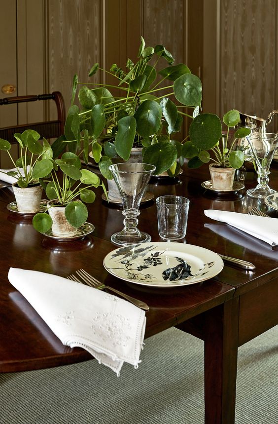Dining table with healthy plants and a more alive, cared-for abundance mood