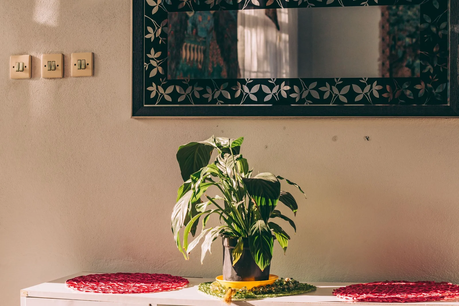 Peace lily with drooping leaves on a table partly illuminated by direct sunlight