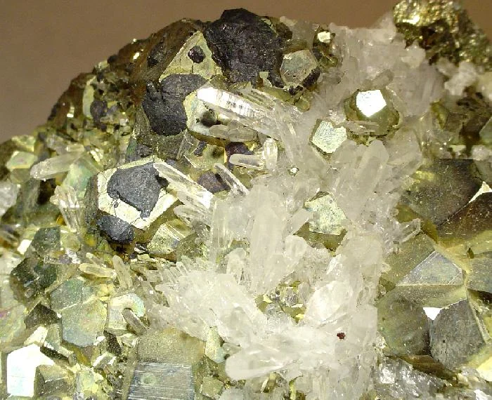 Brassy metallic pyrite crystals intergrown with clear quartz points