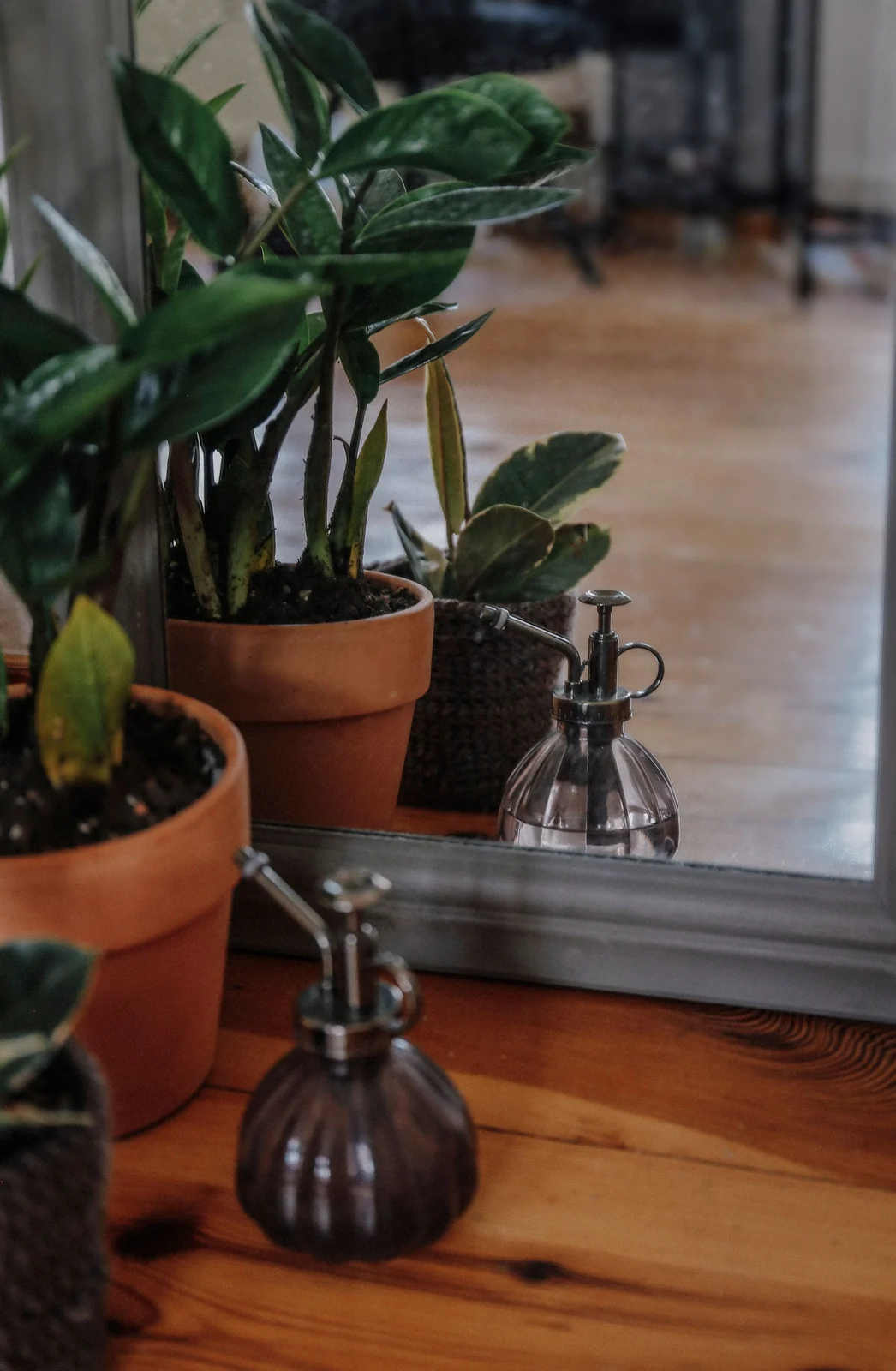 Terracotta-potted ZZ plant and glass spray bottle reflected in a floor mirror