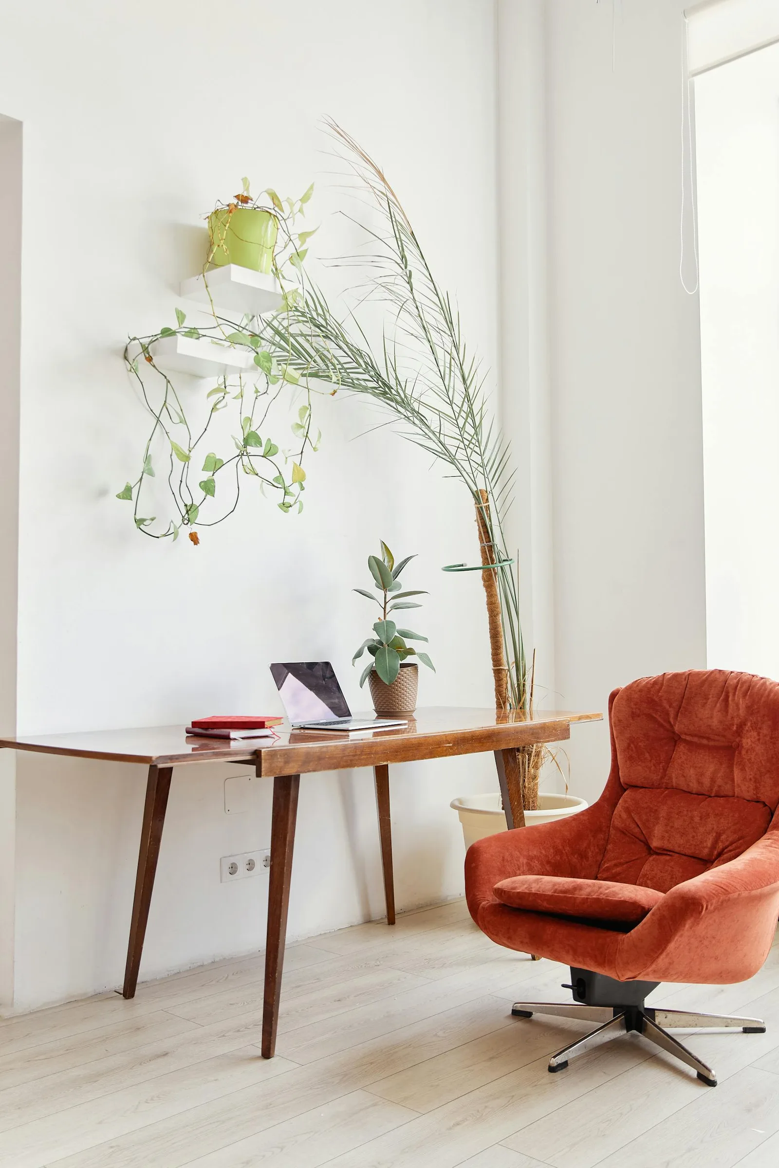 Home office corner with a warm wood desk, plant, orange chair, and soft wall color