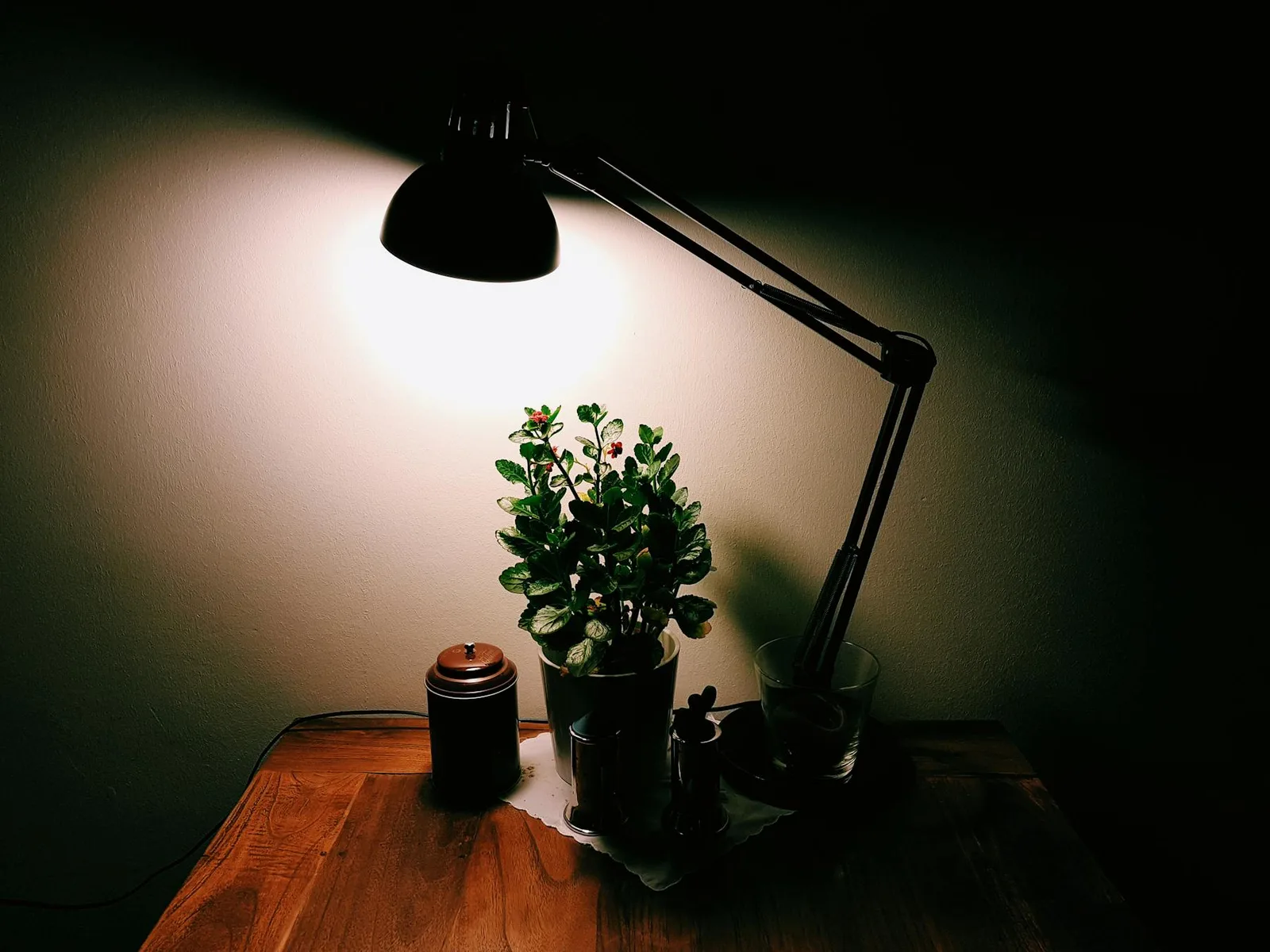 Dark wood desk with black task lamp, small plant, and warm focused light
