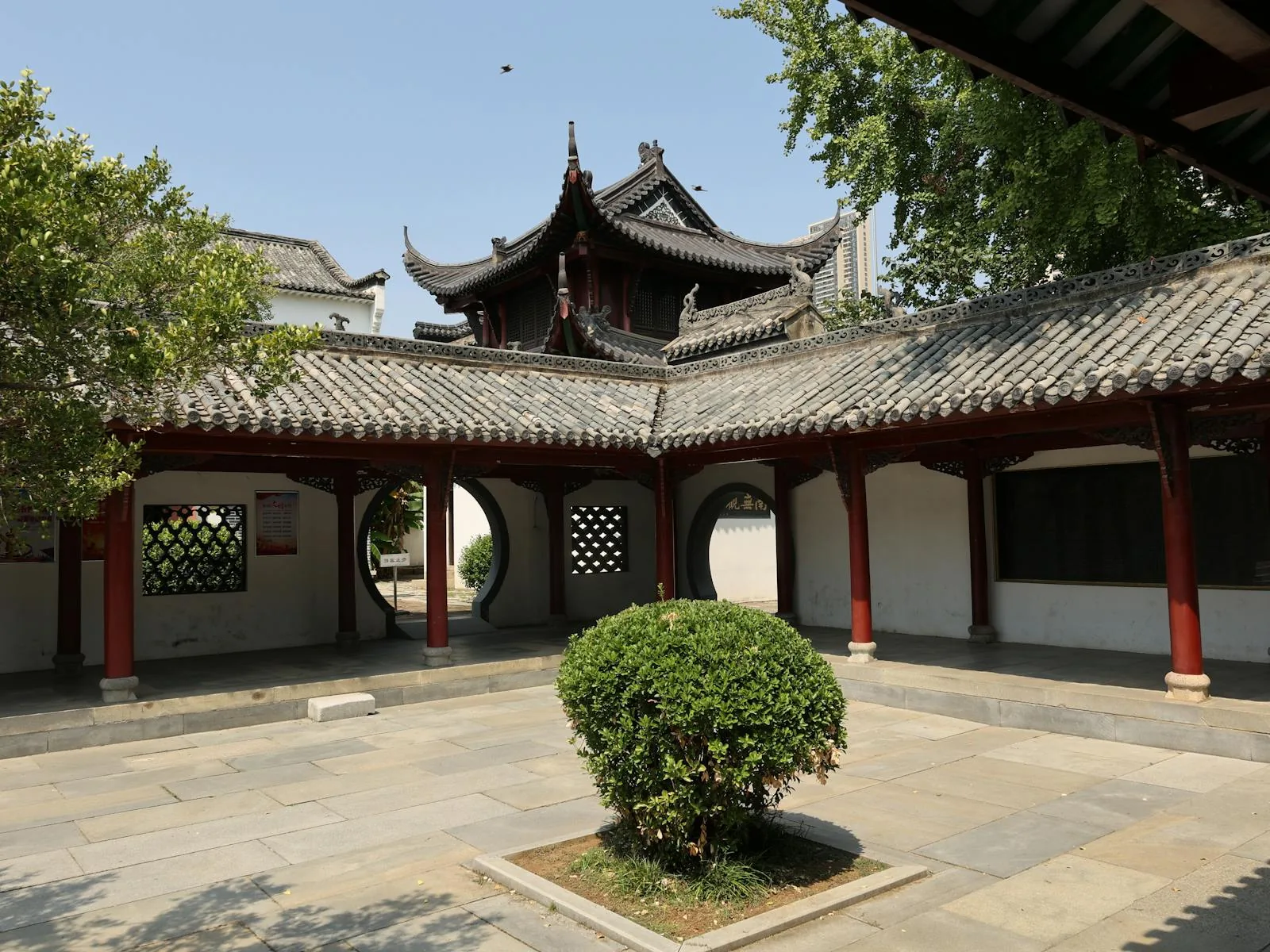 Traditional Chinese courtyard and roofline with a central tree and layered architecture