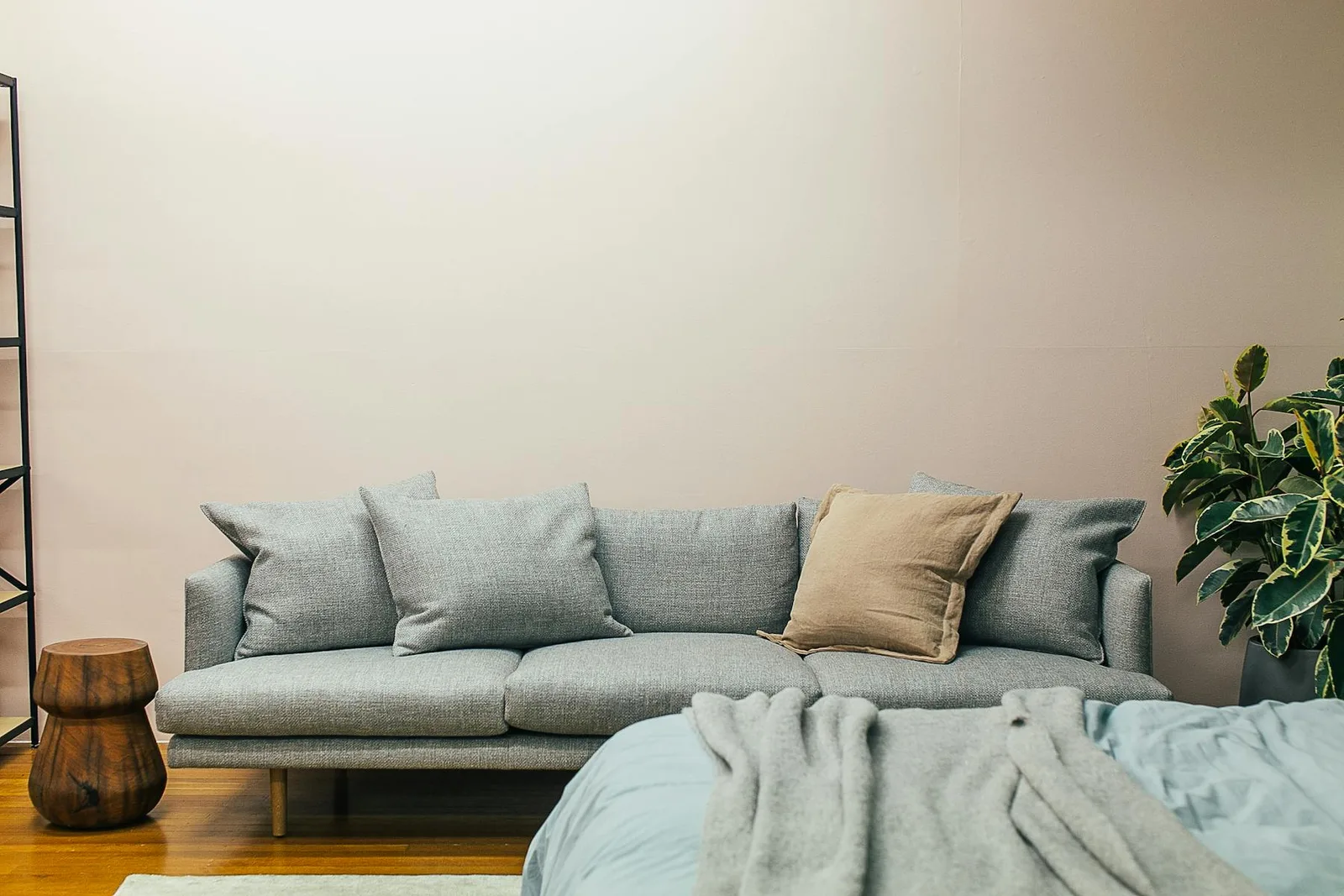 Small apartment view with sofa, bed edge, side table, and plant