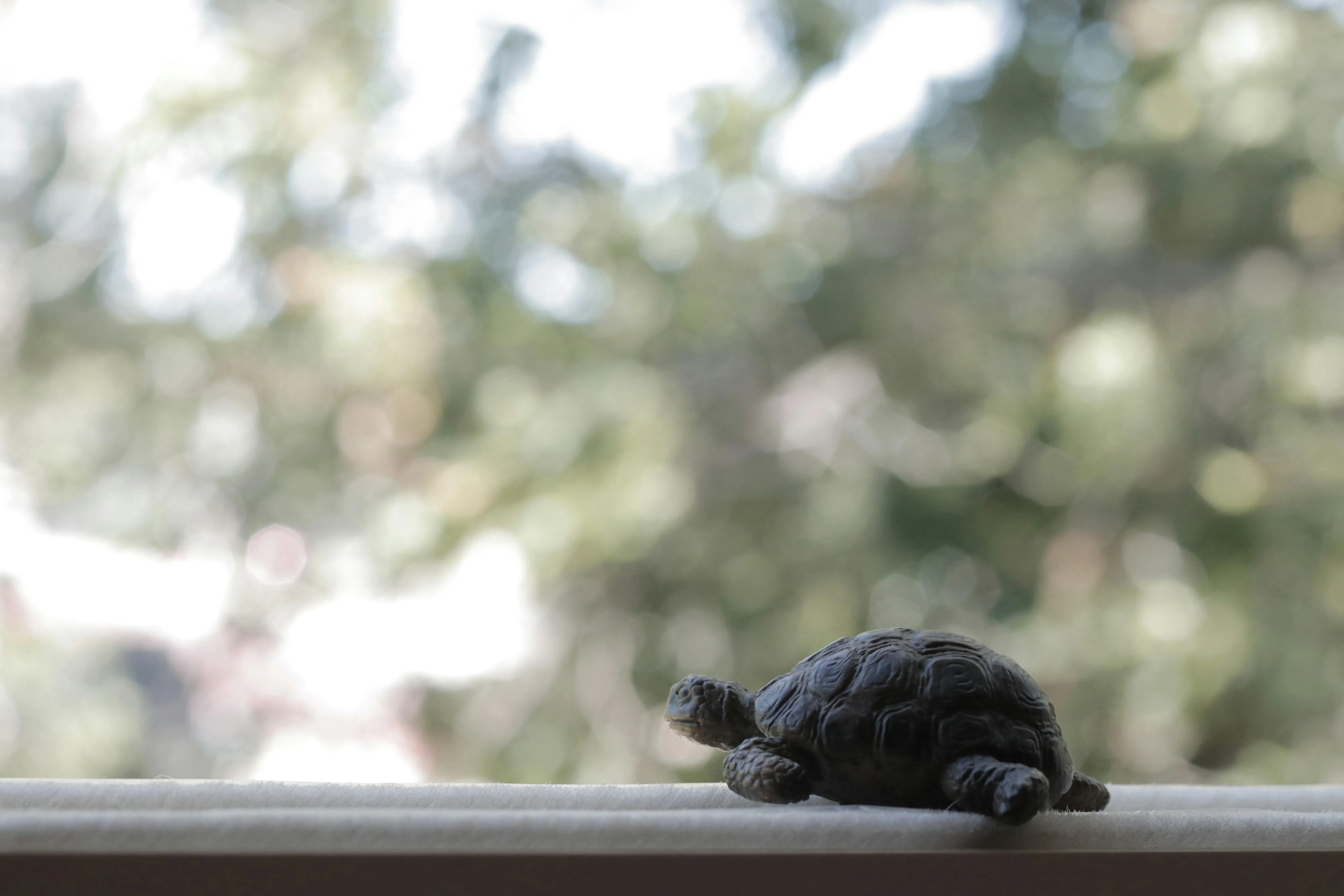 Dark turtle figurine resting on a windowsill with a soft natural background