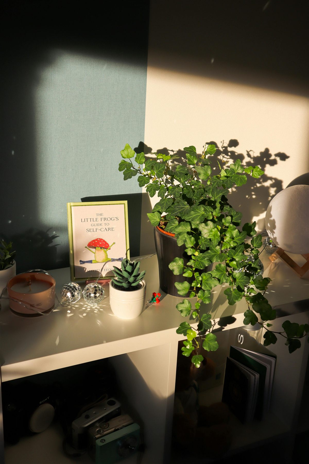 Sunlit shelf with a candle, trailing plant, art, and a few small objects
