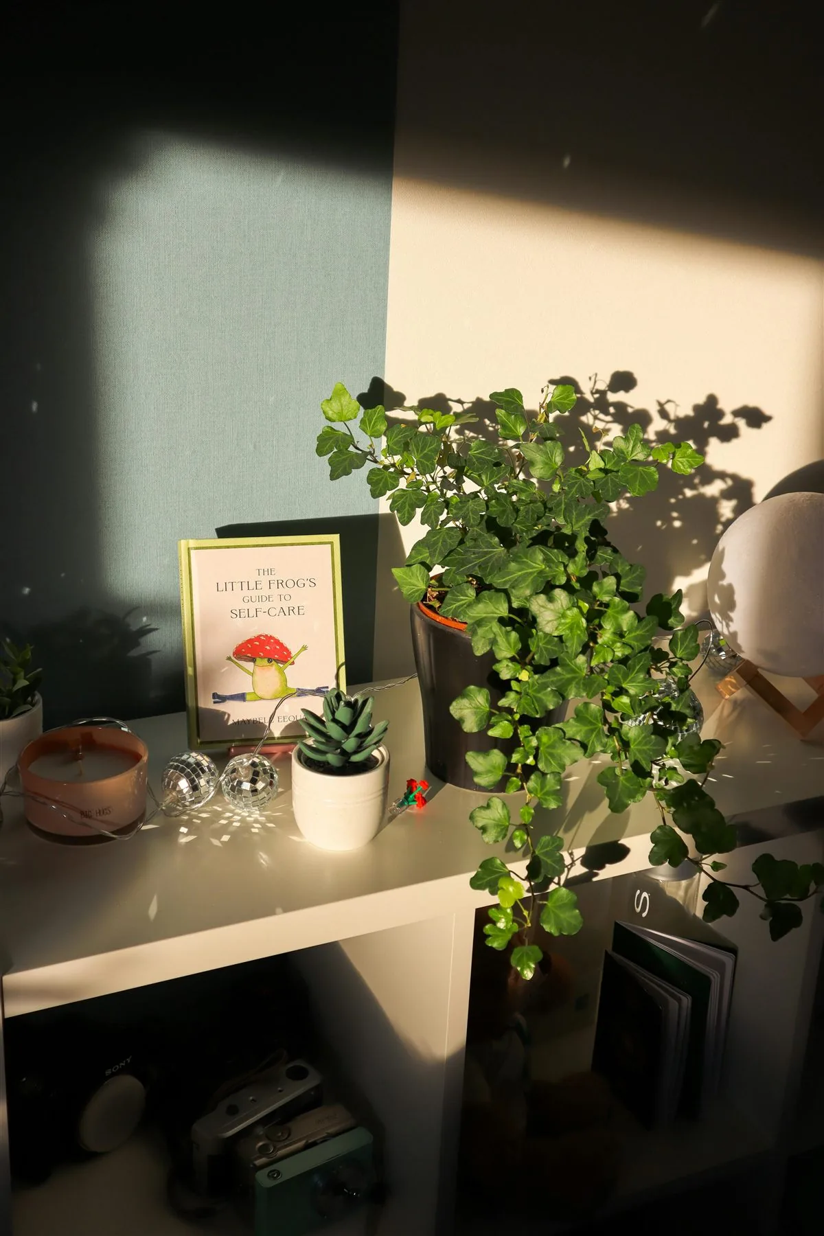 Sunlit small shelf with a trailing plant, candle, and a few meaningful objects